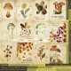 Односторонний лист 30*30 см "Карточки. Botany Autumn" рус.
